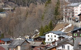 Apartments Soldanella